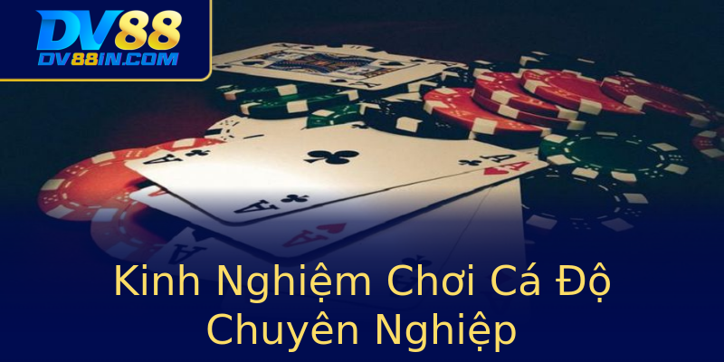 Kinh Nghiệm Chơi Cá Độ Chuyên Nghiệp Kinh Nghiệm Chơi Cá Độ Chuyên Nghiệp