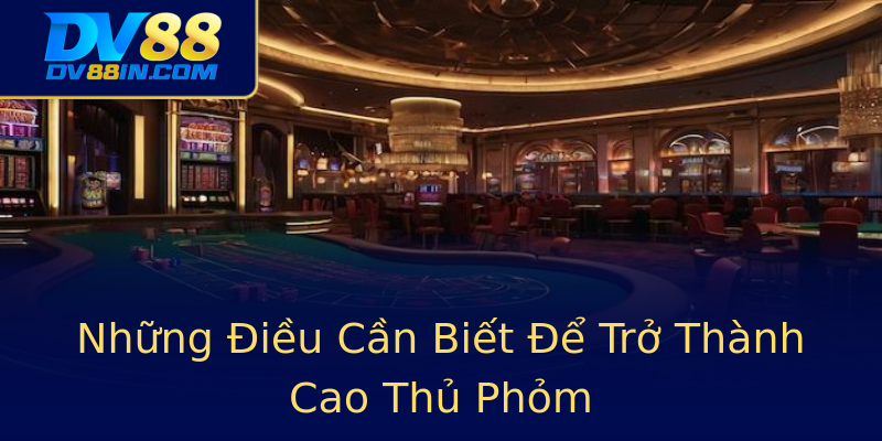 Những Điều Cần Biết Để Trở Thành Cao Thủ Phỏm Những Điều Cần Biết Để Trở Thành Cao Thủ Phỏm